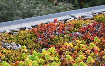 the cost of Nethercote green roof installation