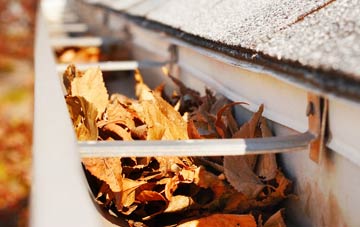 Nethercote gutter cleaning companies