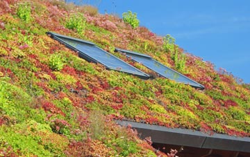 Nethercote living roof systems