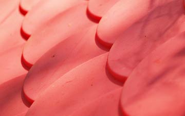 Nethercote plastic roof costs