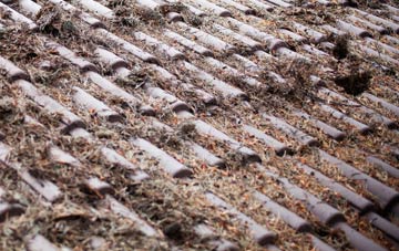 Nethercote roof cleaning companies