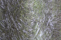 Nethercote fibreglass roof work